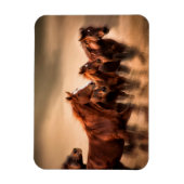 Ringpaarden Magneet (Verticaal)