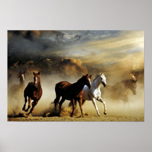 Ringpaarden Poster