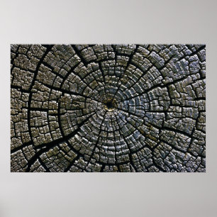 Rings Aztec Ruins Monument Poster
