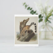 Ringstaart Briefkaart (Staand voorkant)