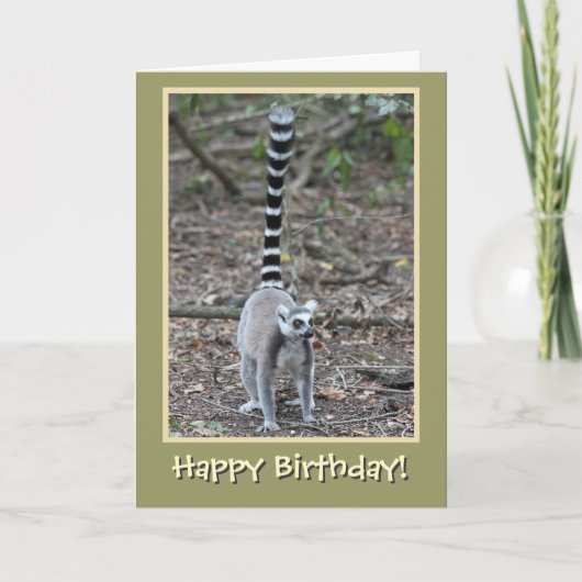 Ringstaart Lemur Happy Birthday Kaart (Voorkant)
