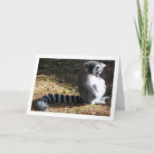 Ringstaartcitroenportret Kaart (Voorkant)