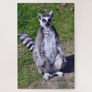 Ringstaartcitroenzuur op briefkaart T-Shir Legpuzzel