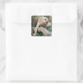 Ringstaartcoati op bijkantoor vierkante sticker (Tas)