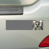 ringstaarten bumpersticker (Op auto)