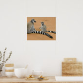 Ringstaarten, (Lemur catta), Berenty Poster (Keuken)