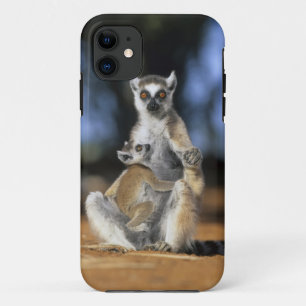 Ringstaartleem, moeder en moeder (Lemur catta) iPhone 11 Hoesje