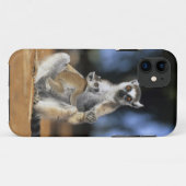 Ringstaartleem, moeder en moeder (Lemur catta) Case-Mate iPhone Case (Achterkant (horizontaal))