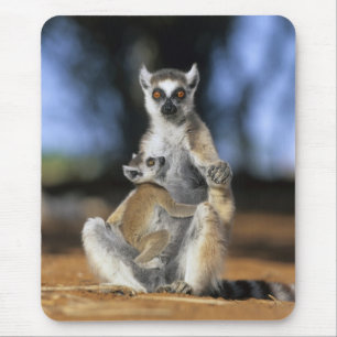 Ringstaartleem, moeder en moeder (Lemur catta) Muismat