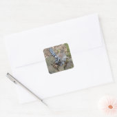Ringstaartleemur #2 Sticker (Envelop)