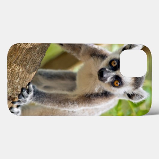 Ringstaartlemur Case-Mate iPhone Case (Achterkant (horizontaal))