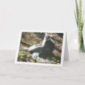 Ringstaartlemur Kaart (Voorkant)