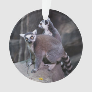 Ringstaartlemur Ornament