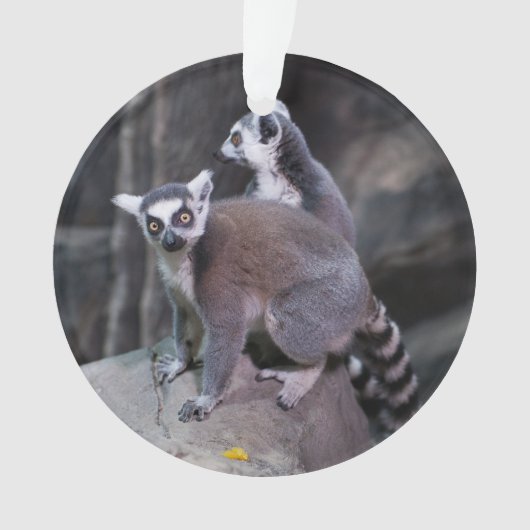 Ringstaartlemur Ornament (voorkant)