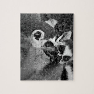 Ringstaartmakreelkoppel met watermeloen legpuzzel