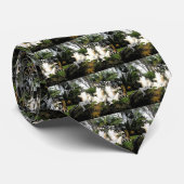 Ringstaartmakrelen opwarmen in Spanje Stropdas (Opgerold)