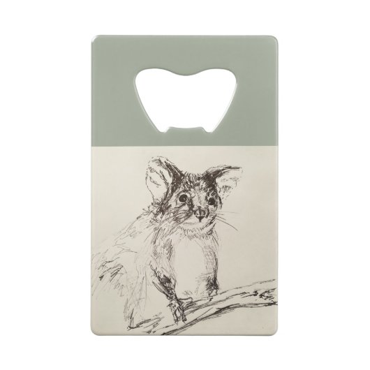 Ringtail Possum Australie (Dos)