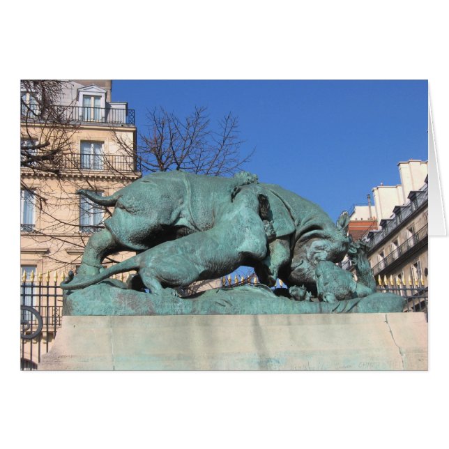 Rino (Voorkant Horizontaal)