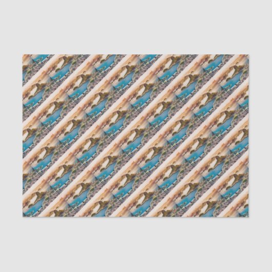 Rio De Janeiro Cityscape Uitzicht Tissuepapier (Voorkant)