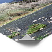 Rio Grande, New Mexico Poster (Hoek)