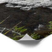 Rio Grande River-Texas Poster (Hoek)