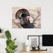 Rio Grande Wild Turkije Poster (Thuiskantoor)