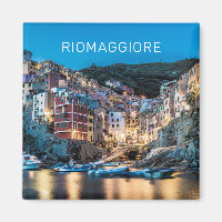 Riomaggiore Cinque Terre La Spezia Italië Panorama