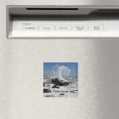 Rip Curl 1, Rhode Island Magneet (Insitu (Vaatwasser))