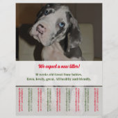 Rip Off Flyer Puppy verkopen rood groen (Voorkant)