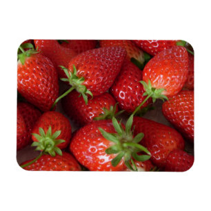Ripe aardbeien magneet