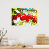 Ripe Cherries Poster (Keuken)