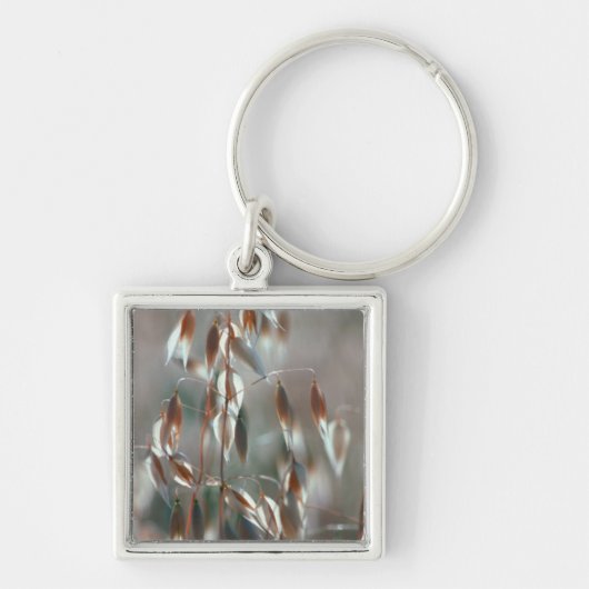 Ripe haver (Avena sativa) gaat dicht. Ceres, Bolan Sleutelhanger (Voorkant)