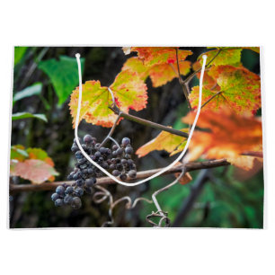 Ripe Isabella druif Groot Cadeauzakje