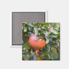 Ripe Pomegranaat op de Leafy Shrub Magneet