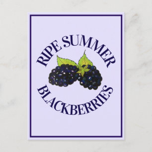 Ripe Summer Blackberry Berry Berry Briefkaart
