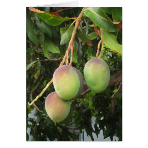 Ripening