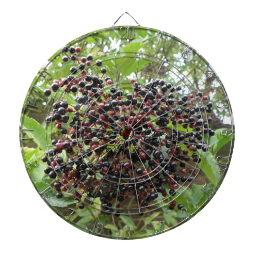 Ripening Cible de flechettes des airelles (Devant)