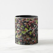 Ripening Elderberries Mug (Centre)