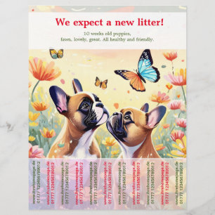 Ripp Off Franse Bulldog Puppy Flyer