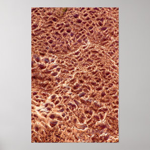 Rippels op zandbalk poster
