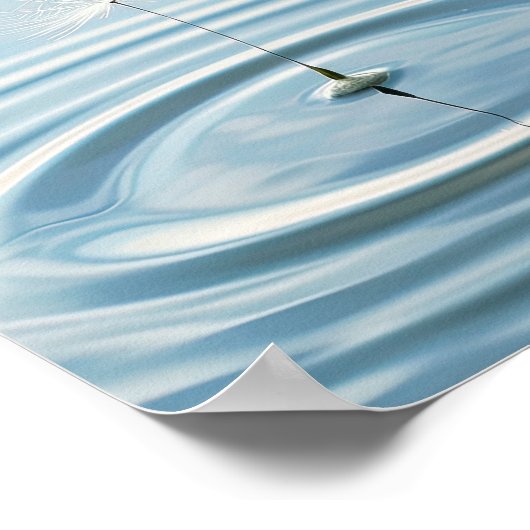 Rippled Reflections: Drijvend paardenbloemzaad Poster (Hoek)