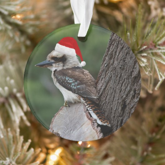 Rire Kookaburra Oiseau Noël Rouge Chapeau de Père  (Arbre)