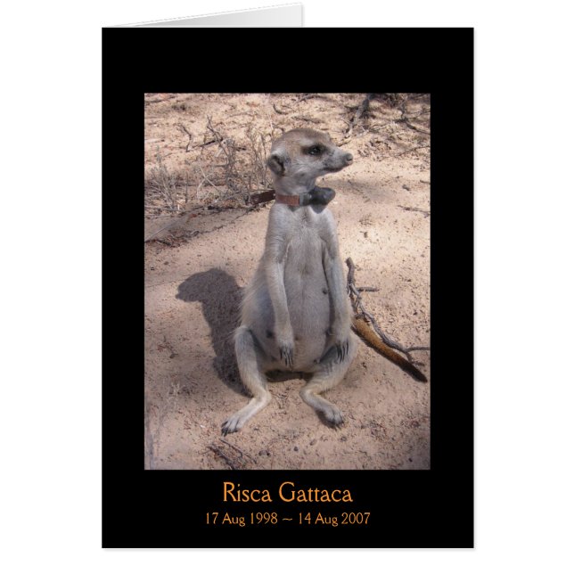 Risca Legends-kaart (Voorkant)