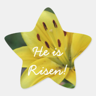 Risen Lily Ster Sticker