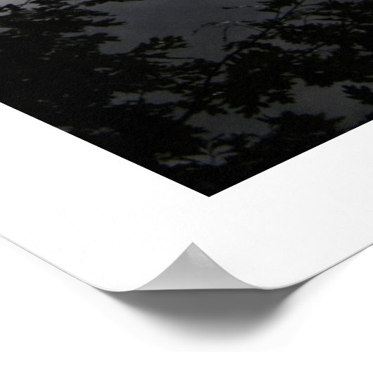 Rising Fog Poster (Hoek)