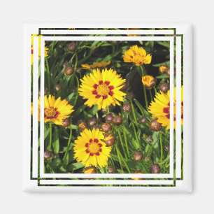 Rising Sun Coreopsis Square Magnet Magneet