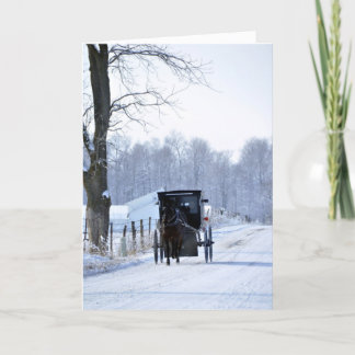 Rit de Met fouten van Kerstmis Feestdagen Kaart