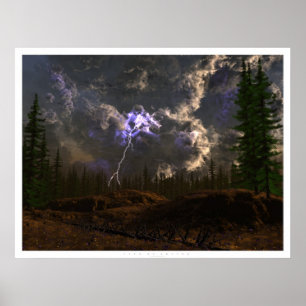 Rite van de lente poster