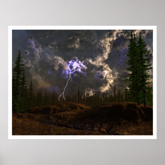 Rite van de lente poster (Voorkant)