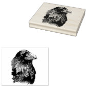 Ritratto di corvo 	rubberstempel (Gestempeld)